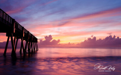 “Pink Pier” ~ Standing In Awe of The Natural Beauty